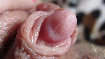 Intense Close-Up Of My Throbbing Clitoris